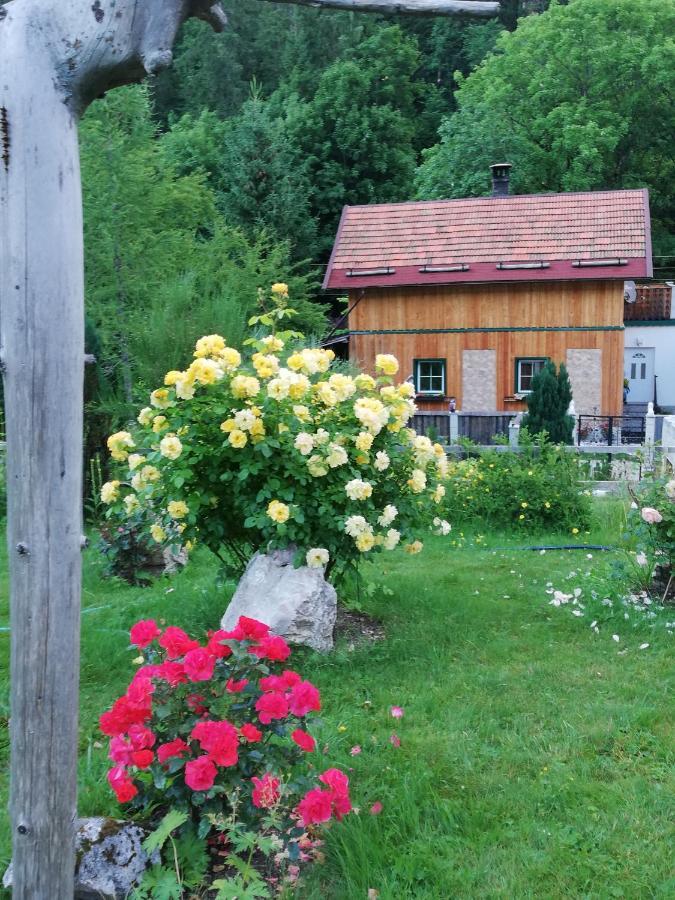 Villa Georges Rast Altaussee Exterior foto