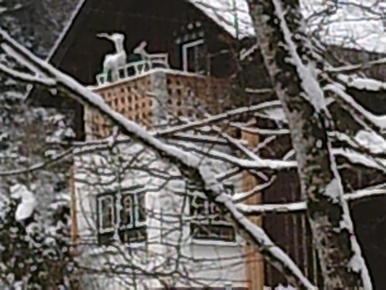 Villa Georges Rast Altaussee Exterior foto