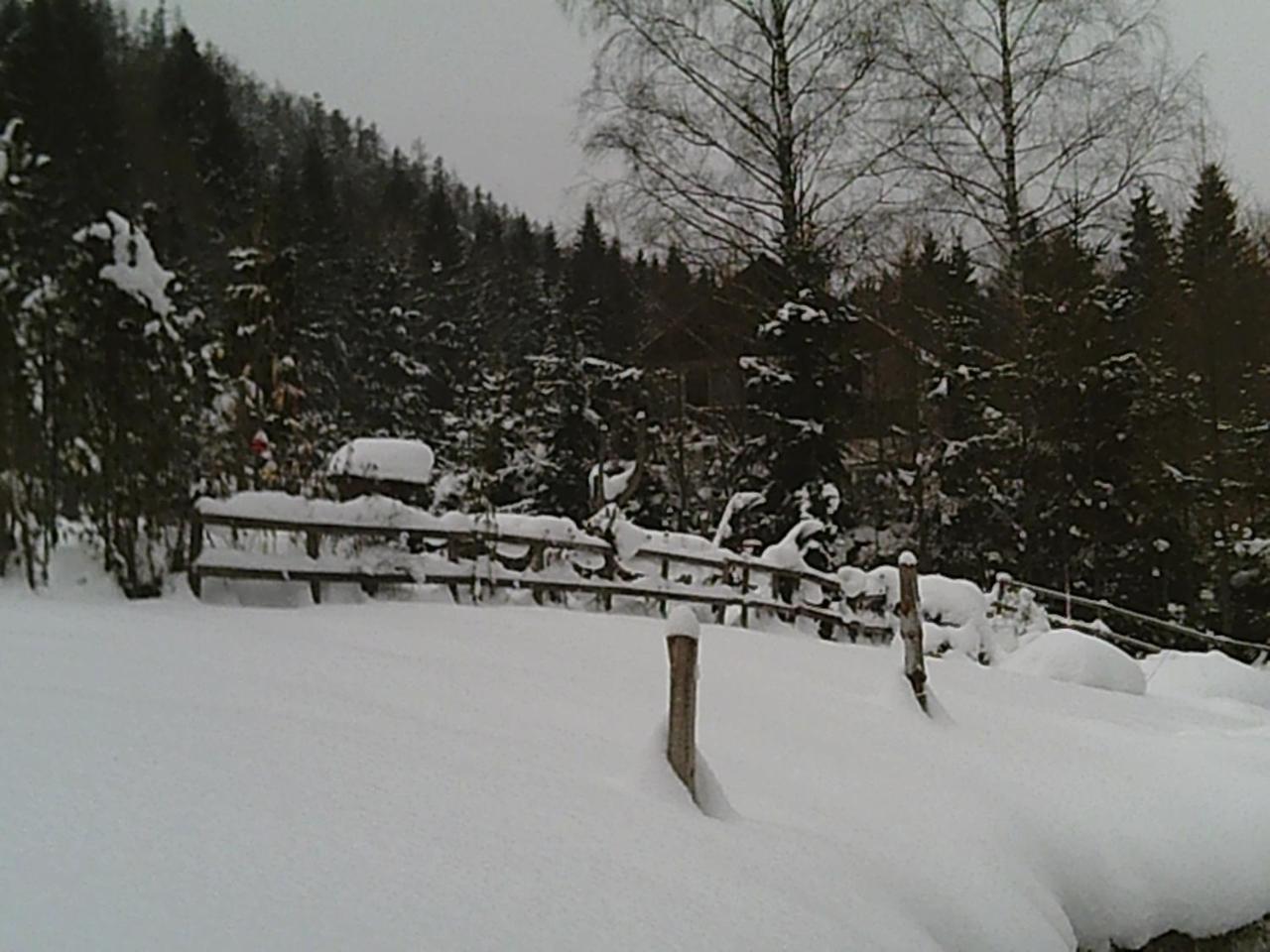Villa Georges Rast Altaussee Exterior foto