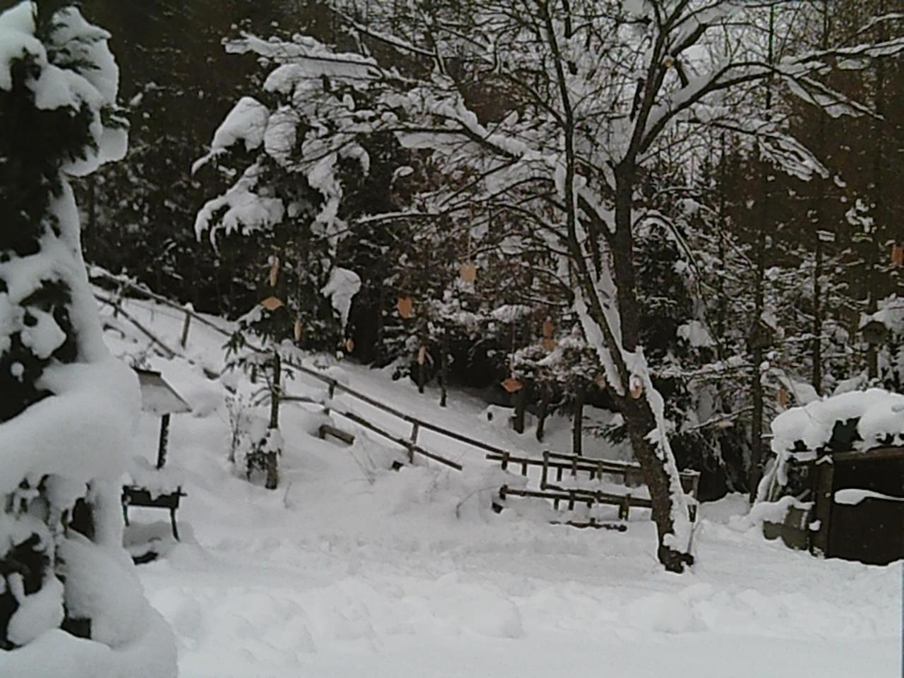 Villa Georges Rast Altaussee Exterior foto