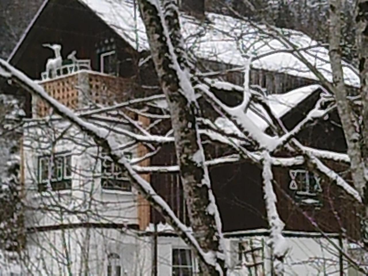 Villa Georges Rast Altaussee Exterior foto